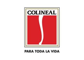 CONSOLA CON PERCHERO COLINEAL  - COLINEAL