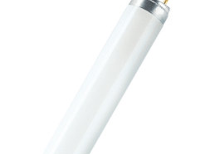 Lámpara Fluorescente Lumilux T8