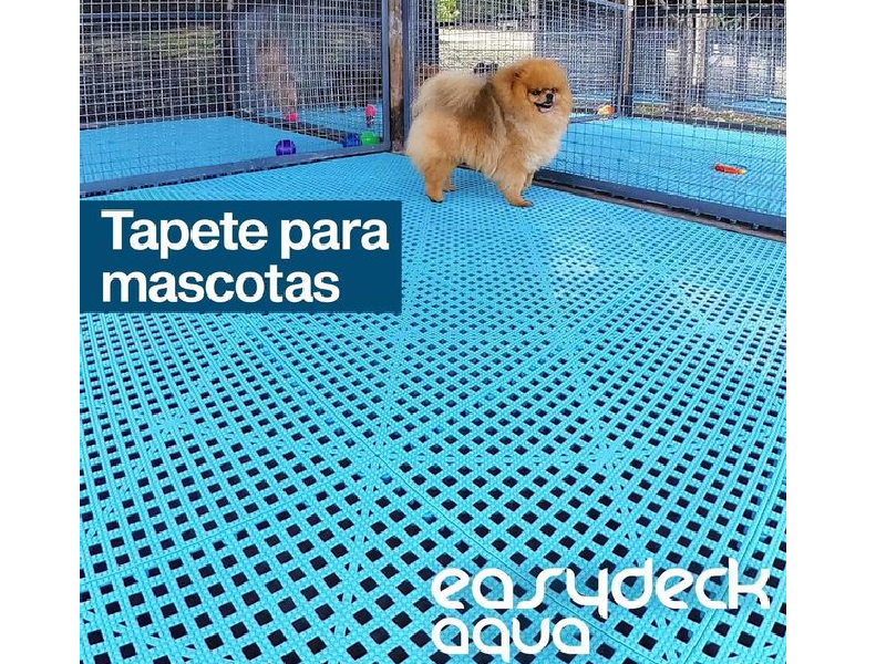Tapete para mascotas Ecuador