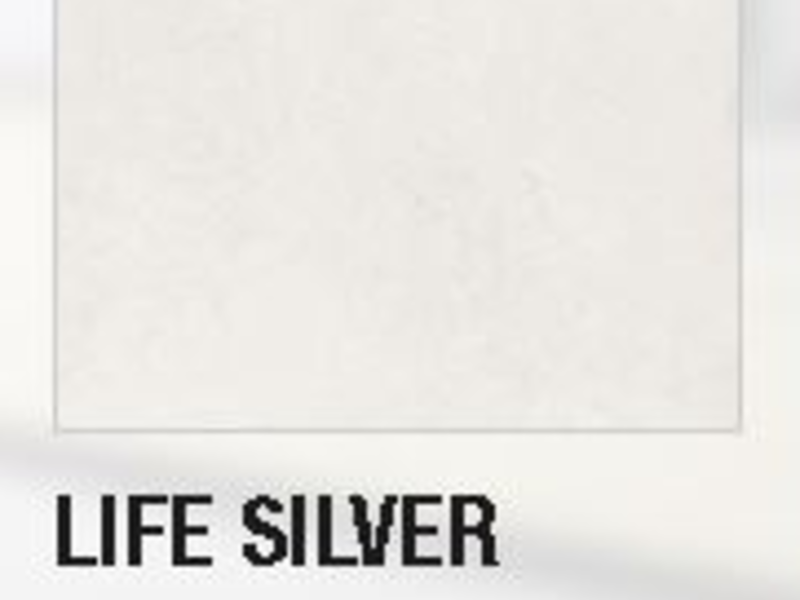 Life Silver 46*46cm