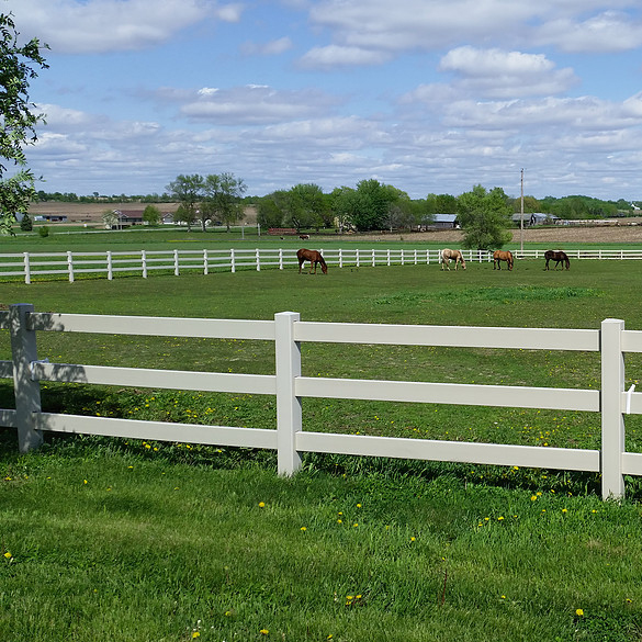 Cercas de 3 rieles : PROIMPEX | CONSTRUEX