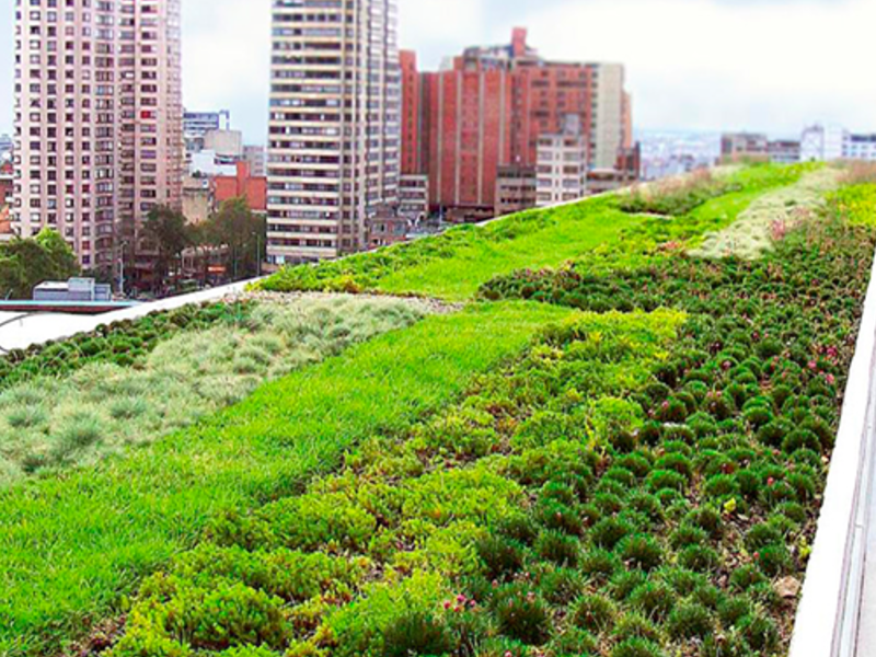 Terraza verde modular