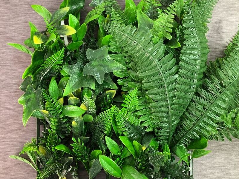 Jardín vertical selva verde-helechos