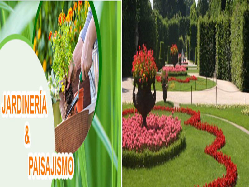 Jardineria y Paisajismo
