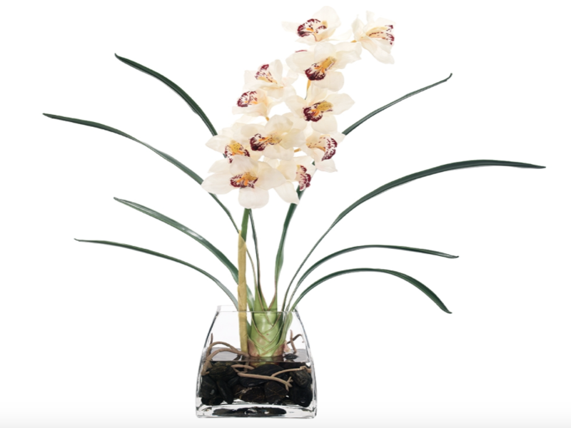 Adornos Orchid Cymbidium NDI